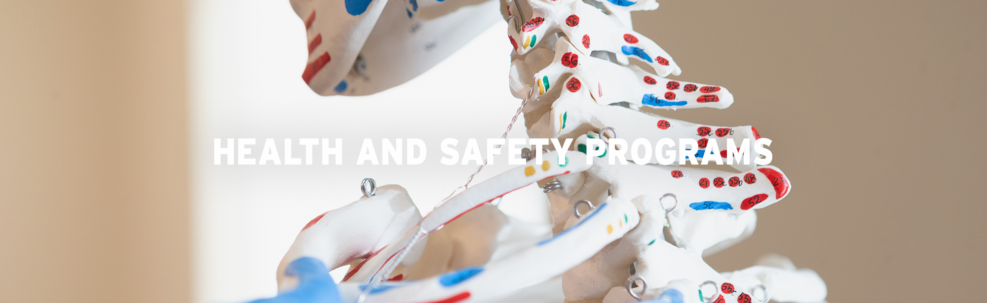 nurse working with VR headset